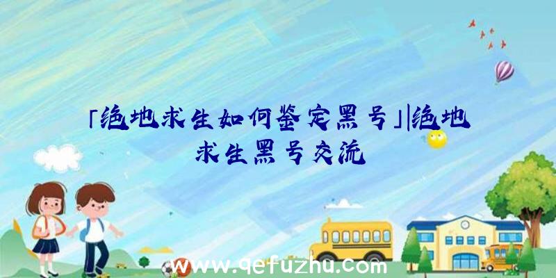 「绝地求生如何鉴定黑号」|绝地求生黑号交流